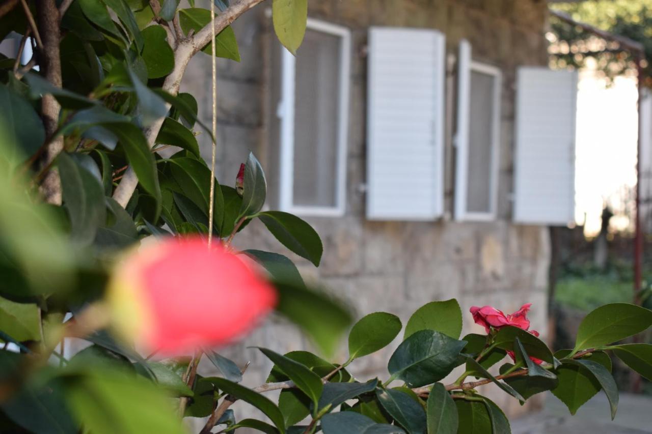 Old Town Studios Budva Kültér fotó